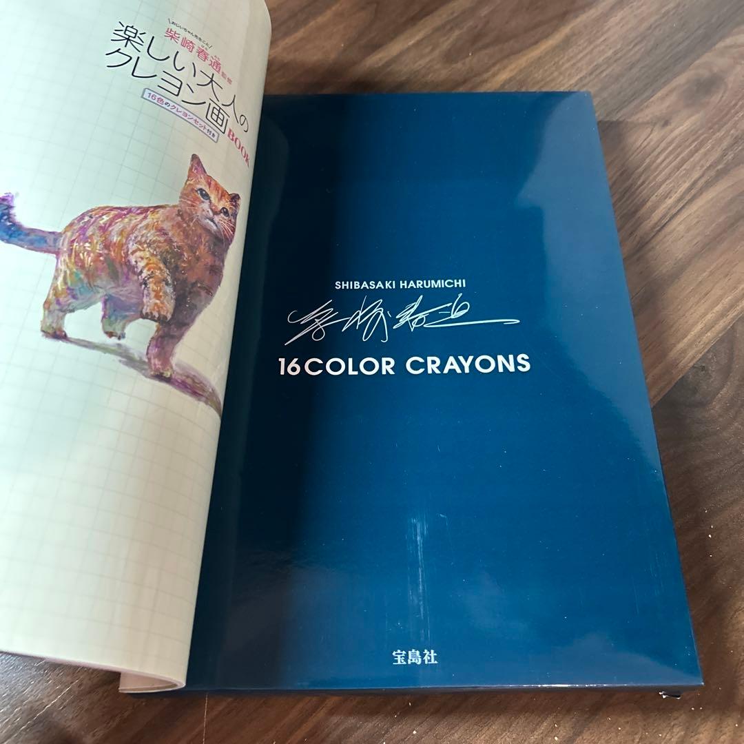 柴崎春通監修 楽しい大人のクレヨン画BOOK 16色のクレヨンセット付き