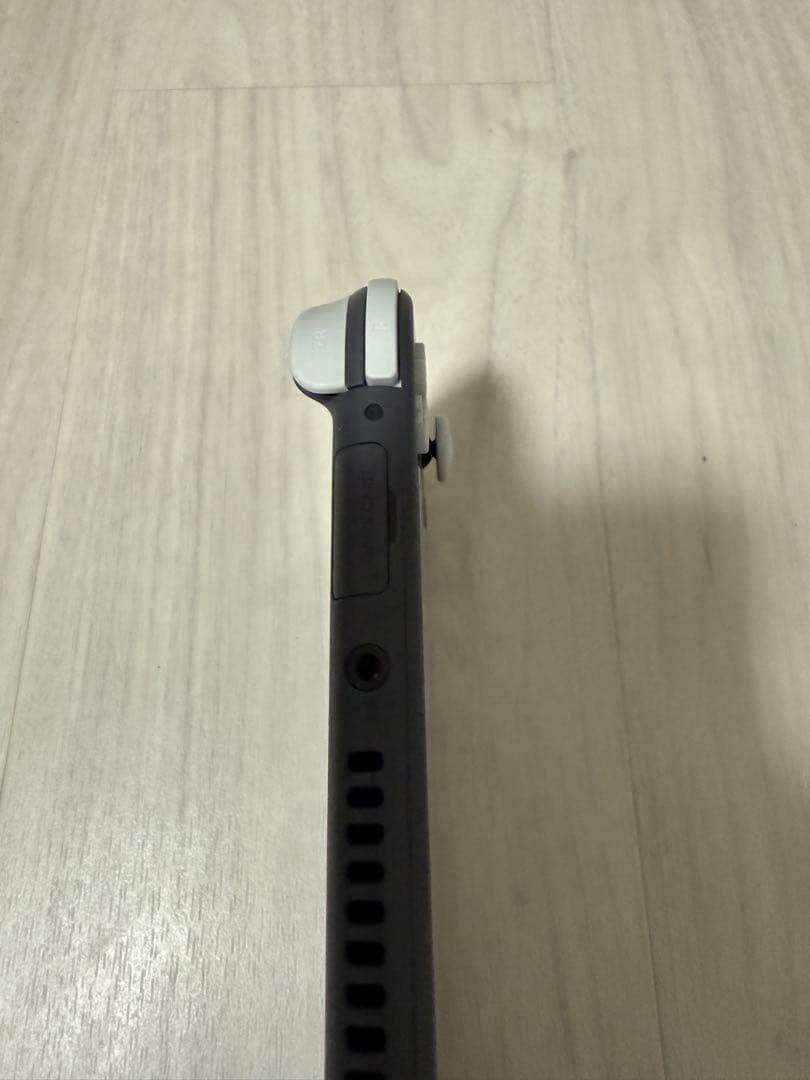 Nintendo Switch Lite 本体+ケース+充電器