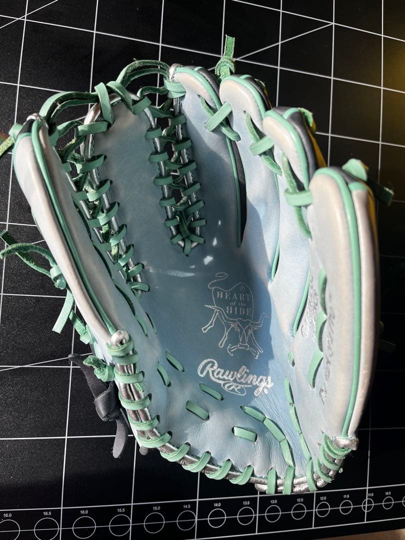 Rawlings 硬式グローブ