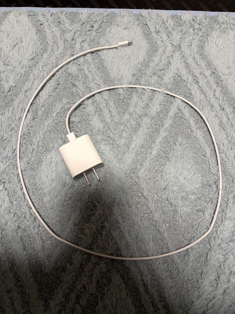 Apple iPad Air ブルー本体　その他付属品