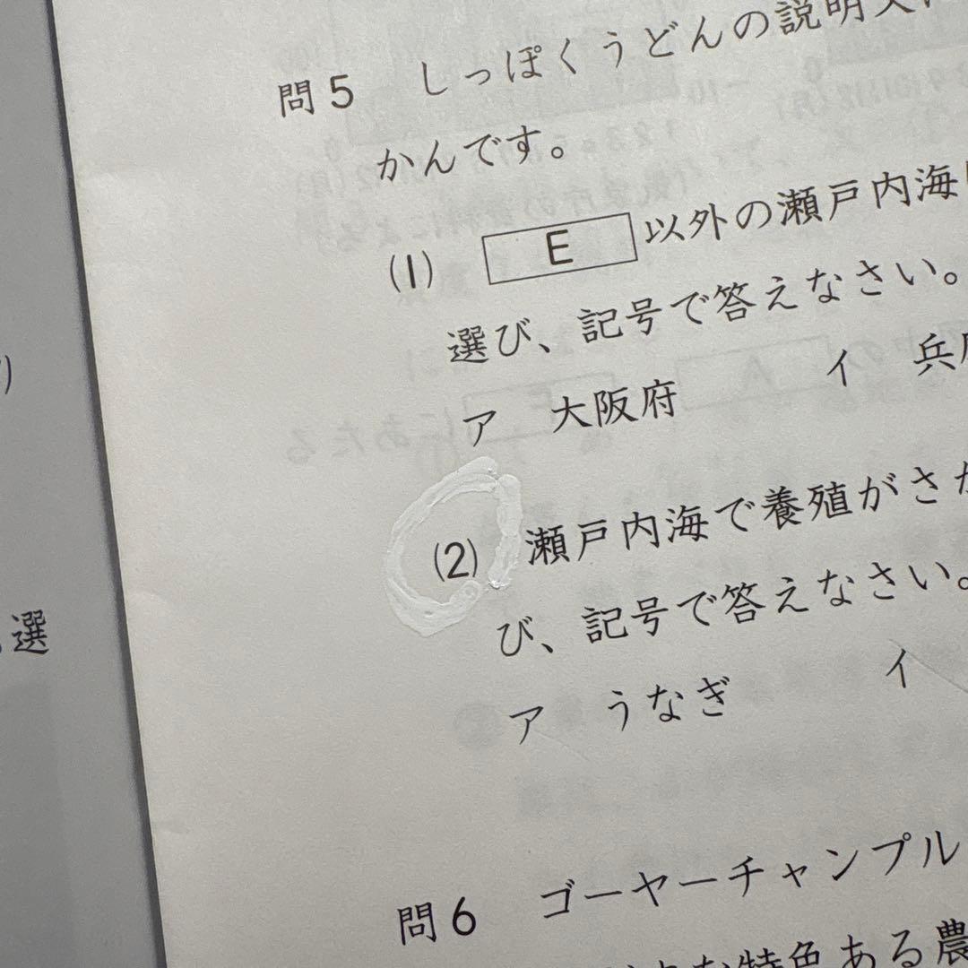2025年 日能研 5年 全国公開模試(前期)