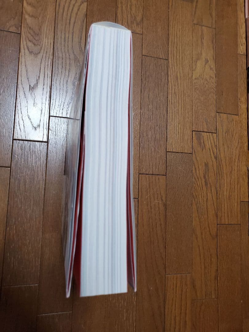 ストリートファイター アートワークス 極　画集　カプコン