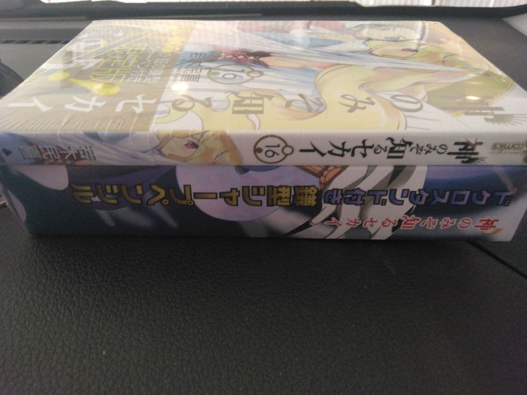 神のみぞ知るセカイ 22