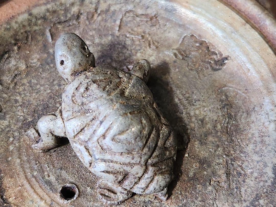 由*麻様 備前焼　宝瓶　蓋摘 及び 湯冷まし縁 亀 茶器　揃