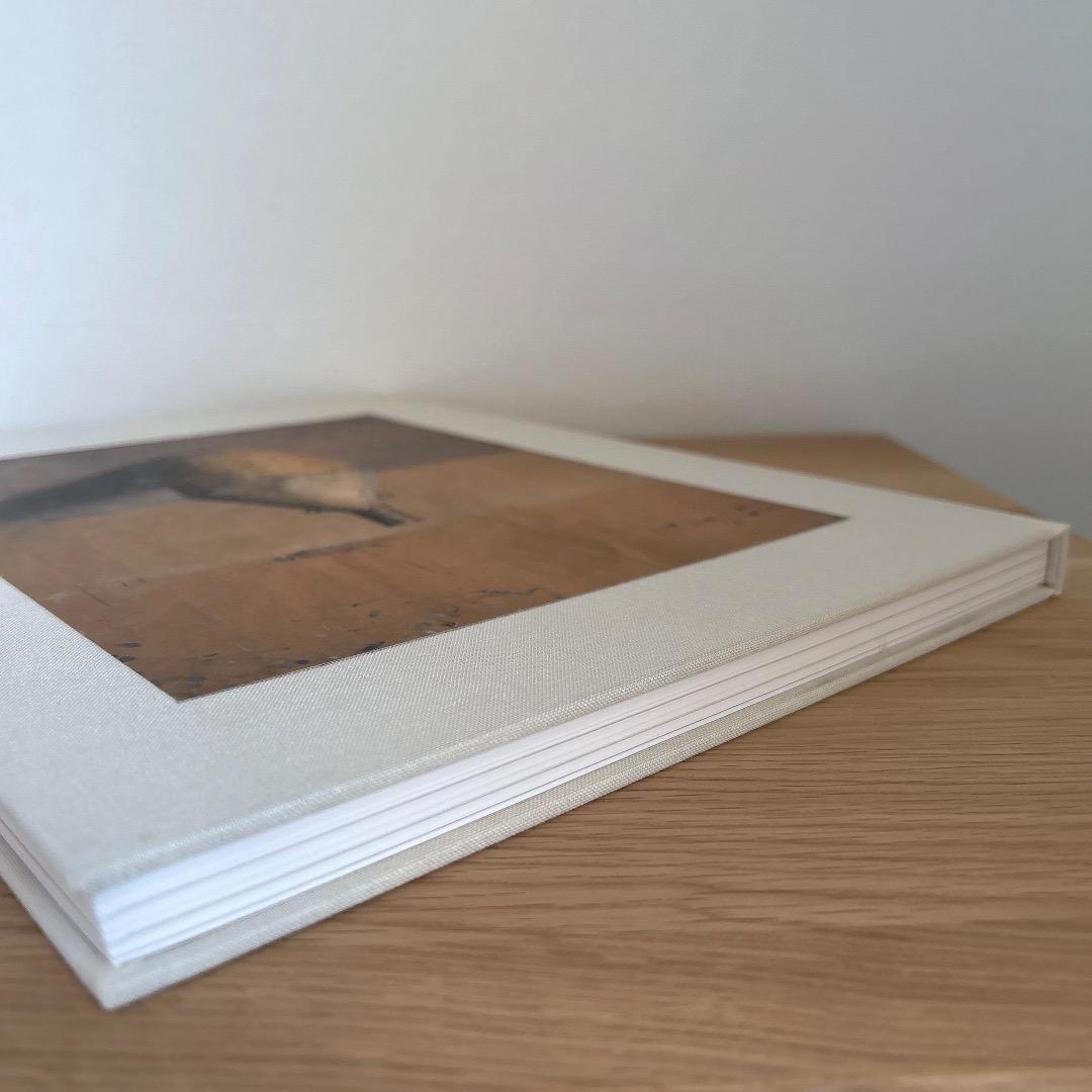 Morandis Objects ジョエルマイロウィッツ モランディ アート *