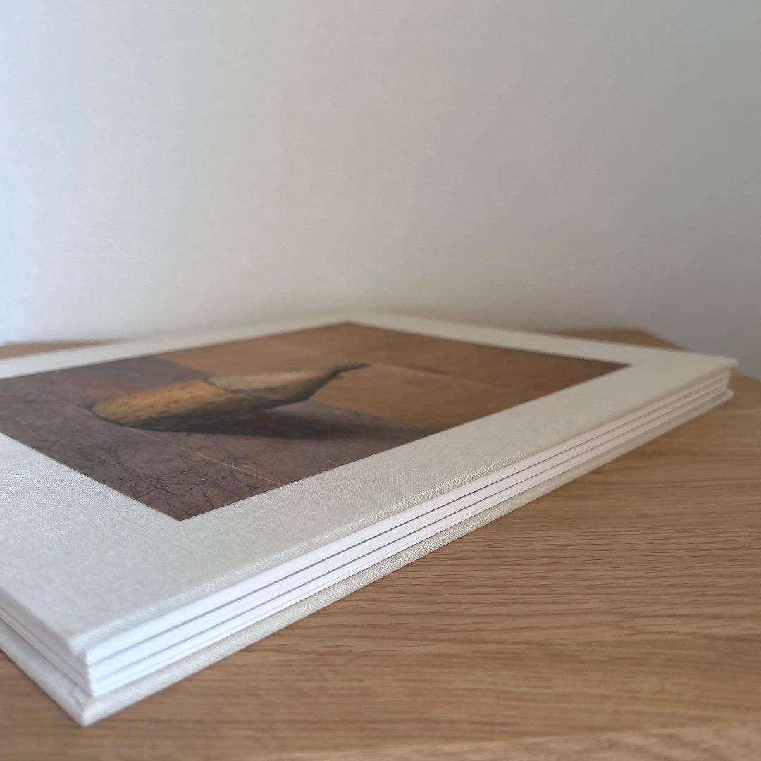 Morandis Objects ジョエルマイロウィッツ モランディ アート *