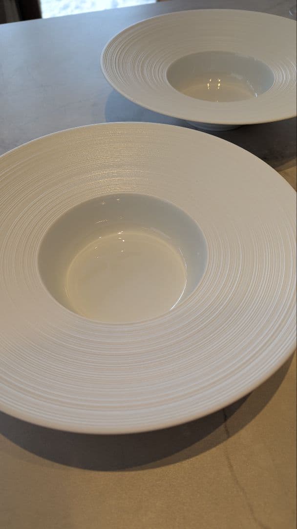 J.L Coquet ジャン・ルイ・コケ エミスフェール リム深皿 26.5cm