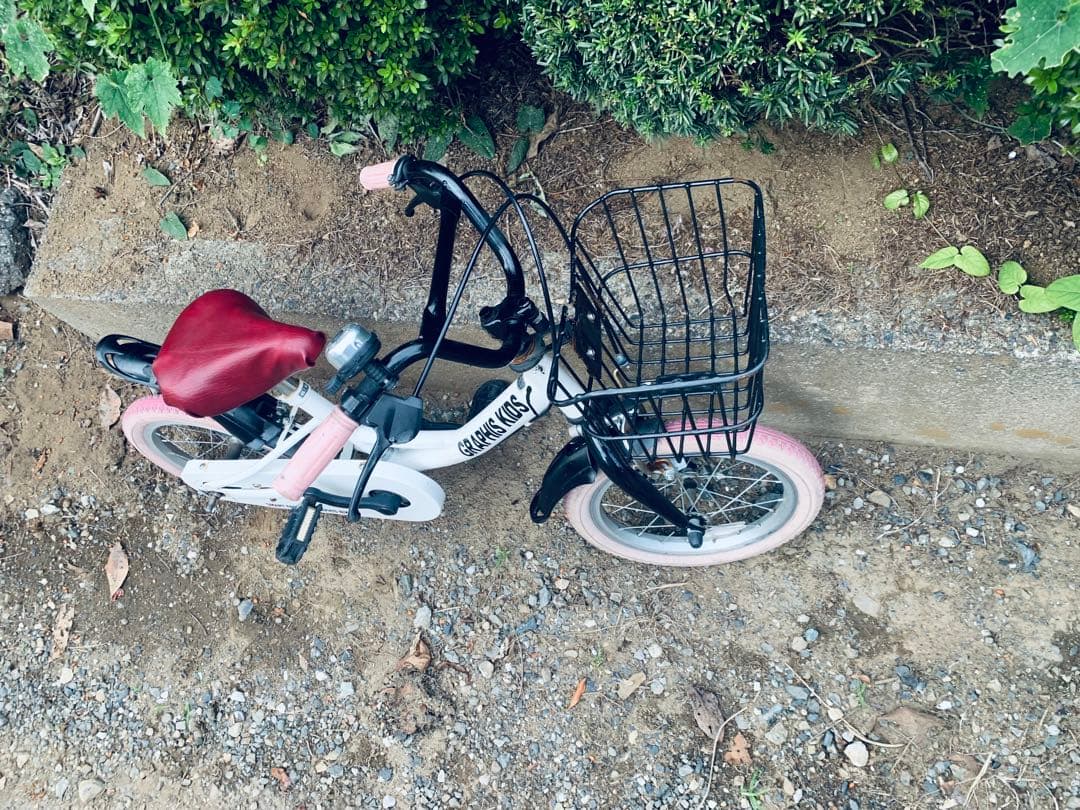 補助輪付き　14インチ　GRAPHIS KIDS14インチ 幼児用自転車
