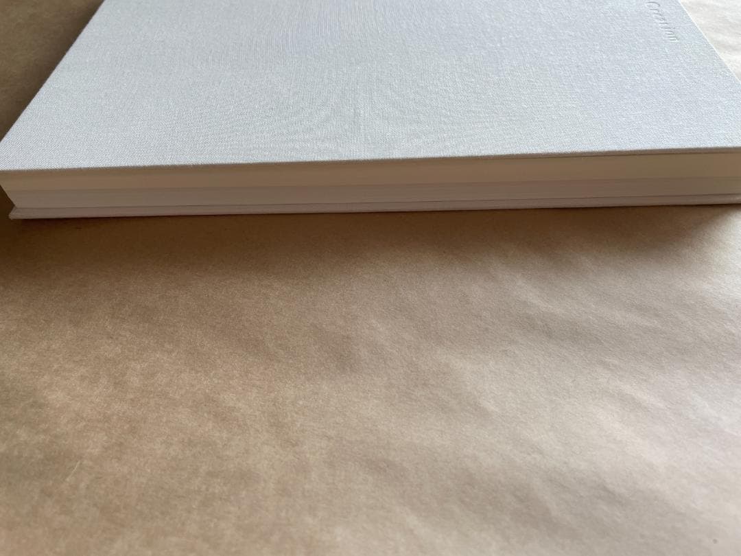 内藤礼　うつしあう創造　特装版