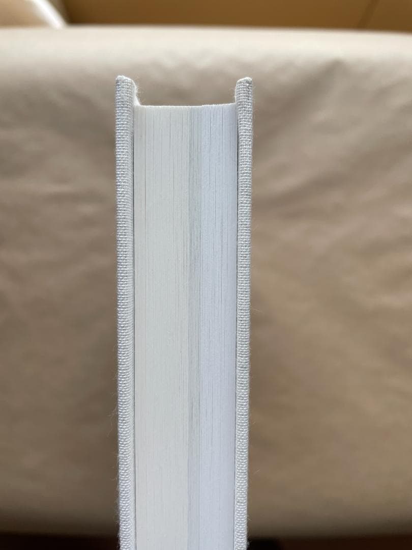 内藤礼　うつしあう創造　特装版