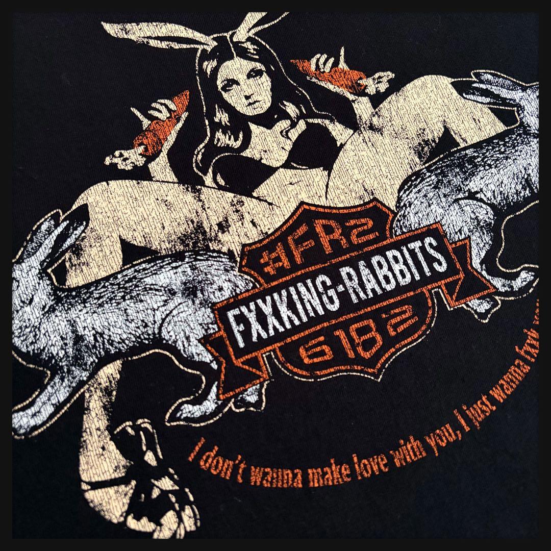 【完売デザイン】FR2 ガール 長袖 ロンT ハーレー ファイヤー 激レア 美品