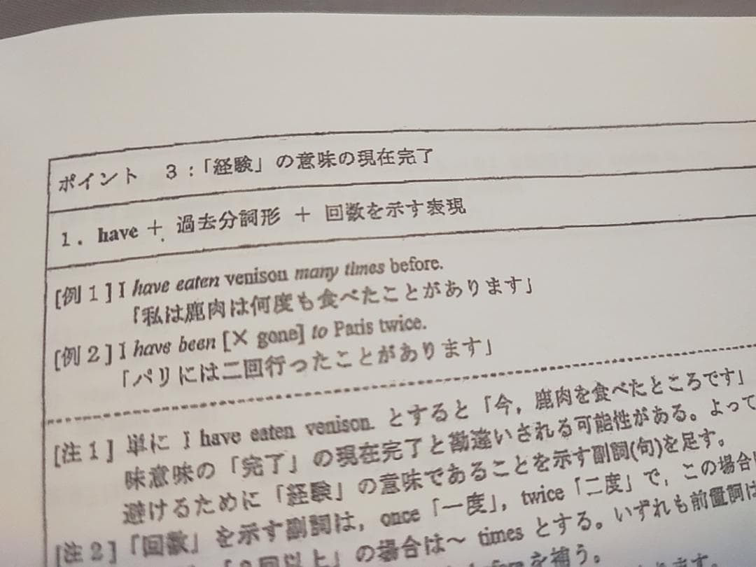 駿台　英作文対策　特別プリント集　上位クラス　竹岡広信先生　英語　鉄緑会　河合塾