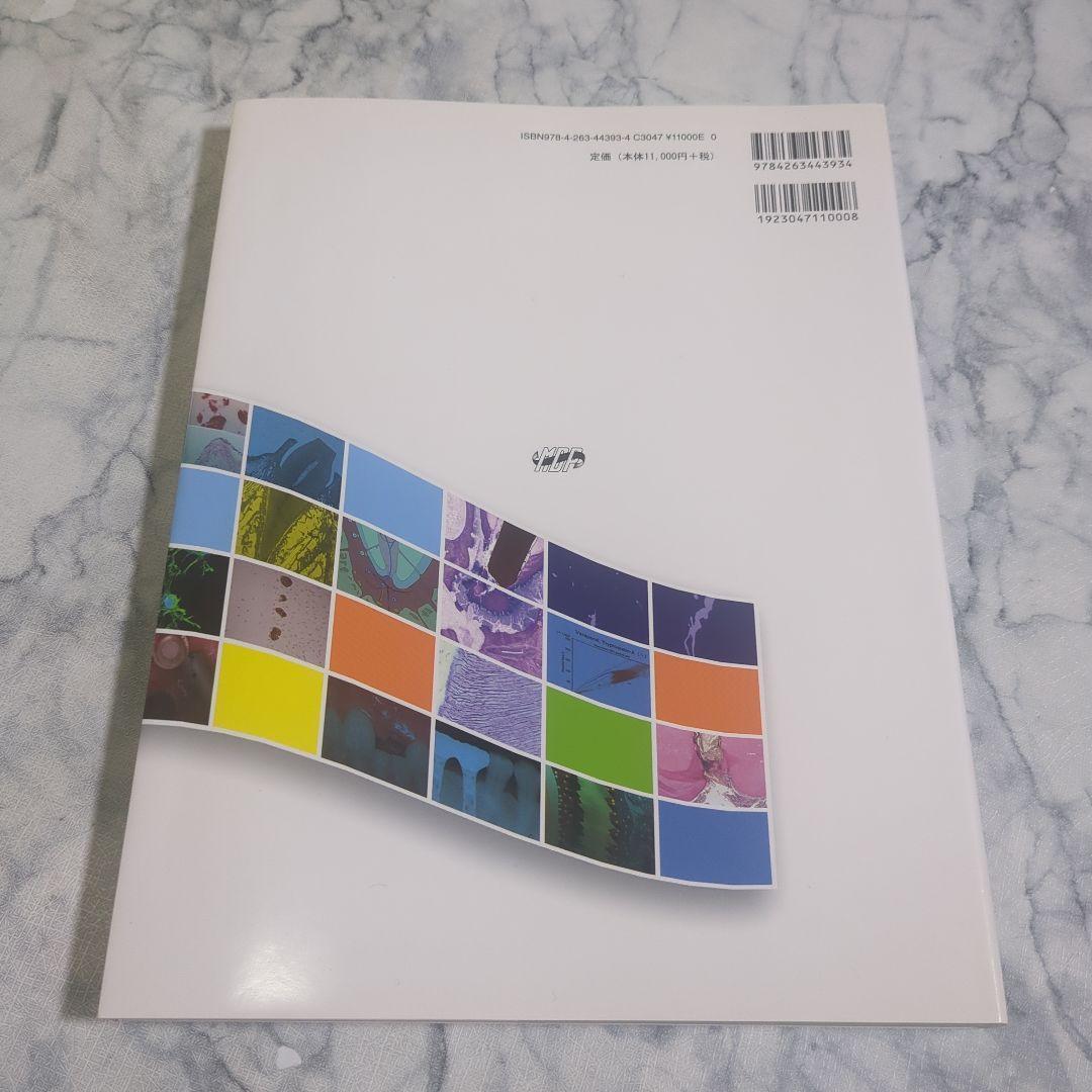 【極美品】創傷の治癒 Wound healing