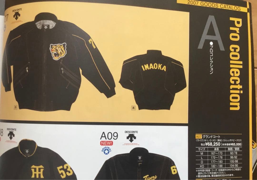 阪神タイガース　プロコレ　グランドコート　実使用　13 中村泰広投手