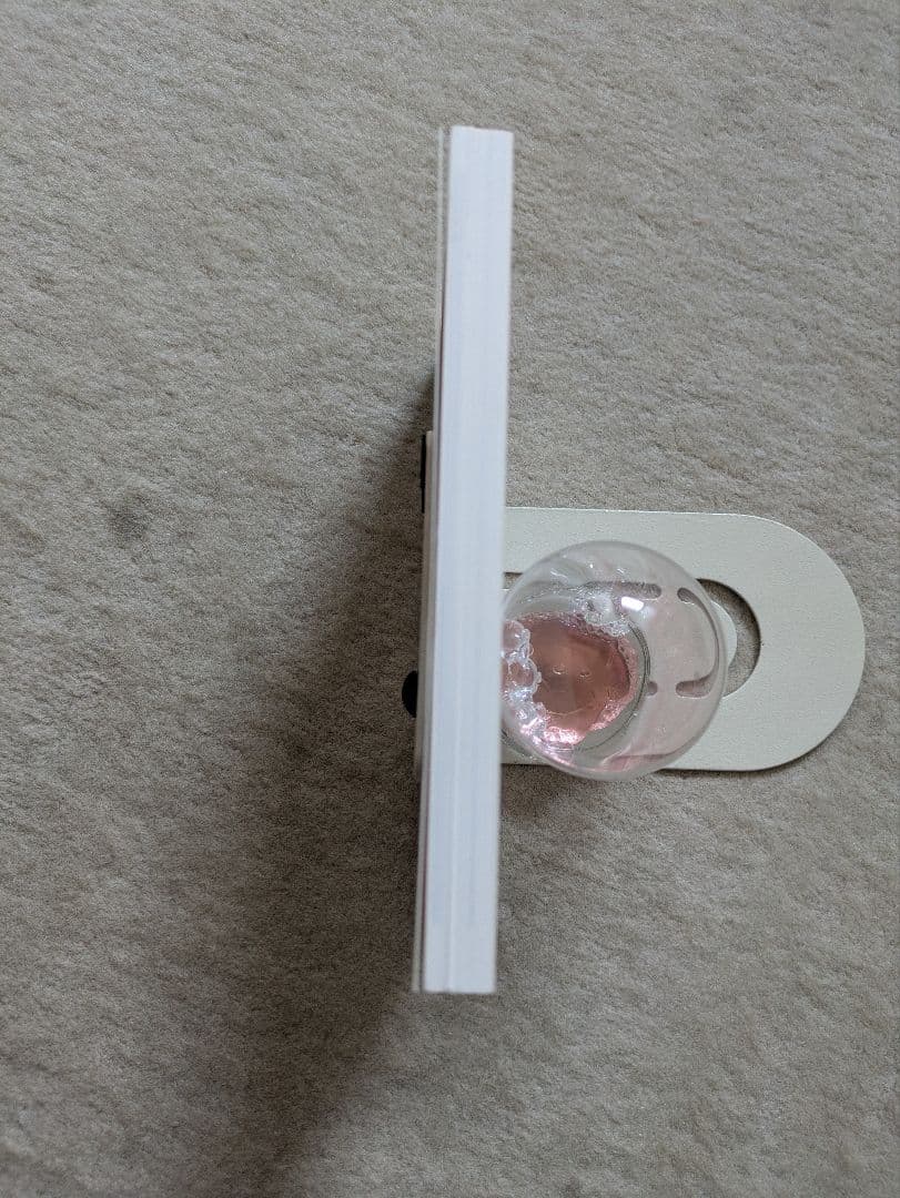 【初版・希少】青幻舎　小倉遊亀　親しきものたち