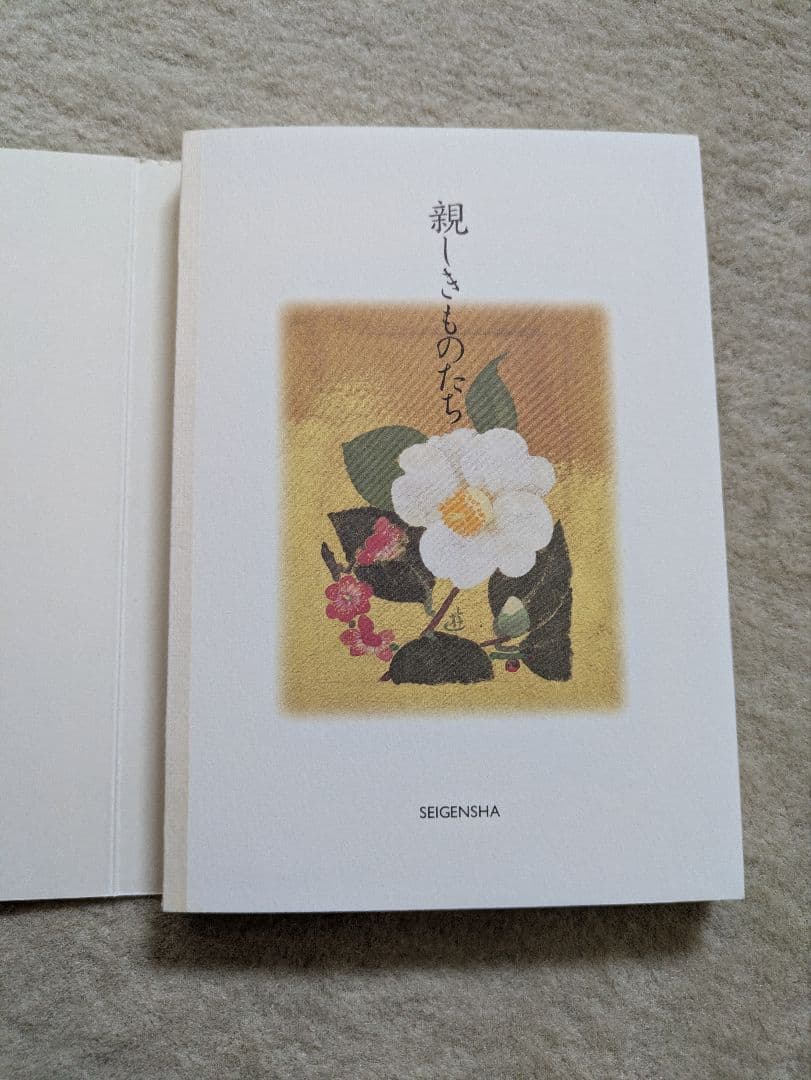 【初版・希少】青幻舎　小倉遊亀　親しきものたち