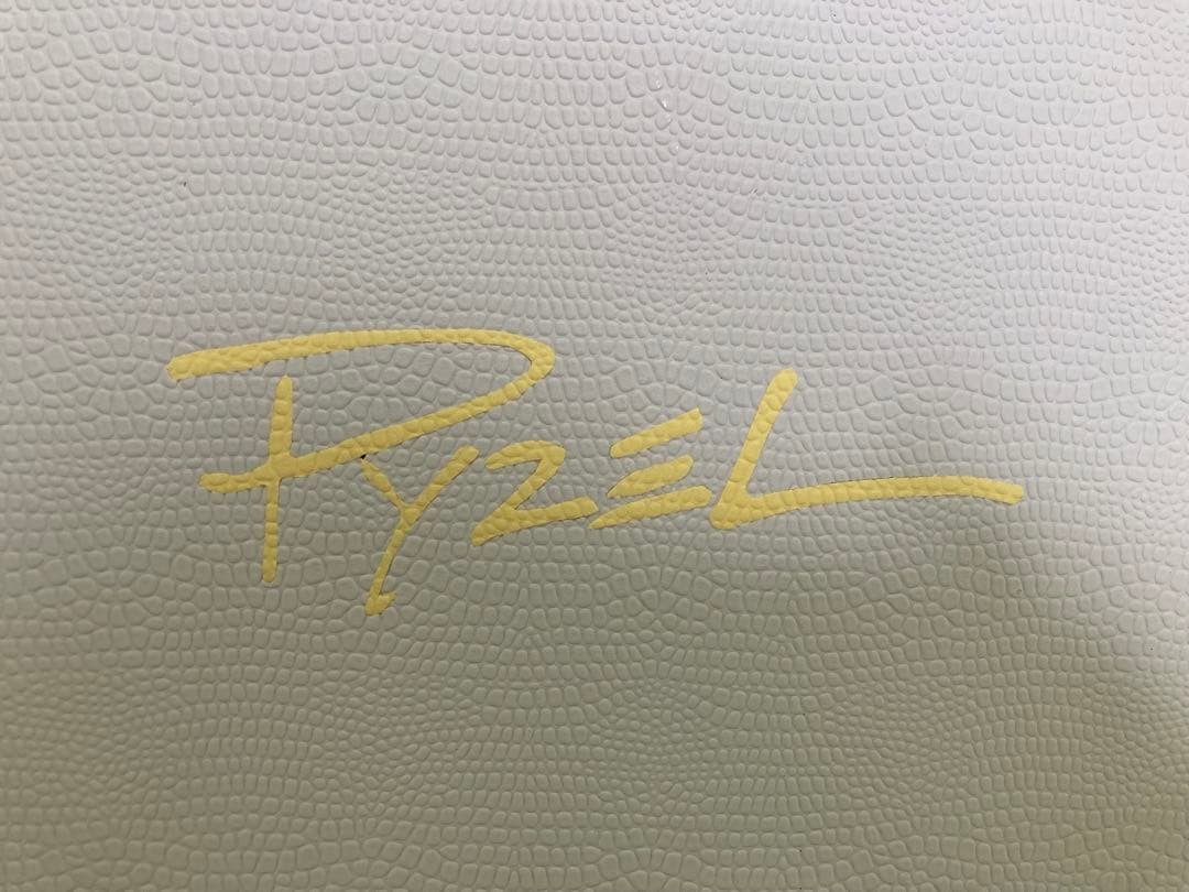 パイゼル JJ F 5.0 ソフトボード ホワイト 辻堂手渡し