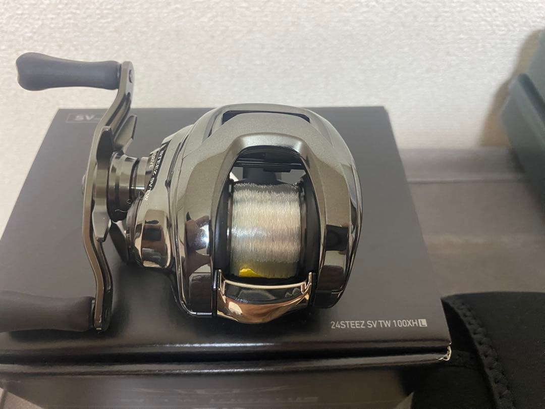 DAIWA 24スティーズ SV TW 100XHL