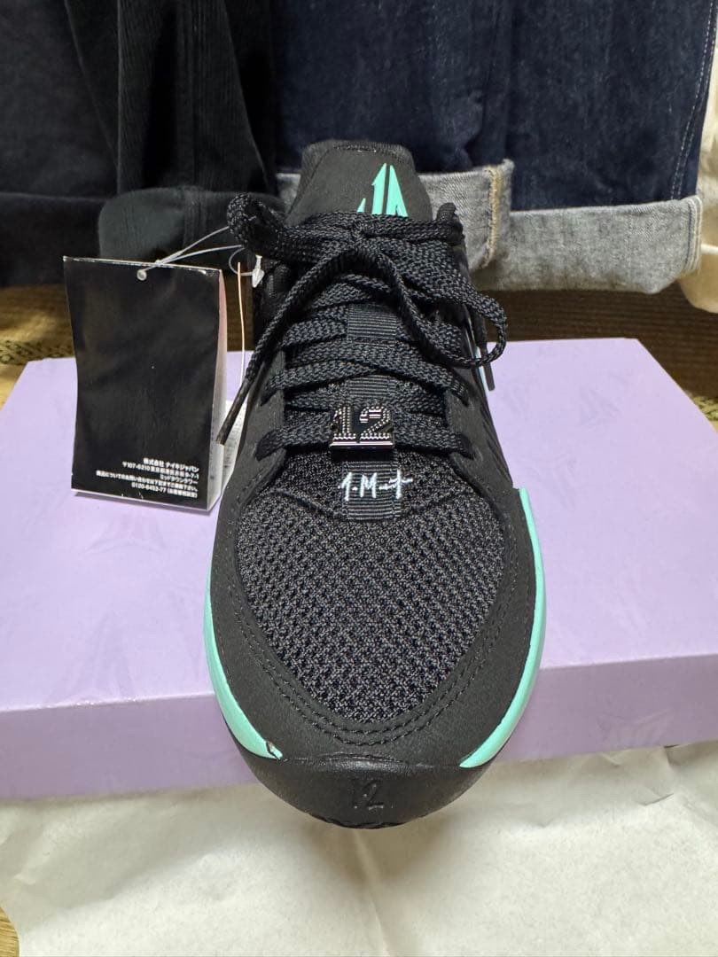 Nike Ja 2 Tiffany Swoosh 新品未使用品 ナイキ