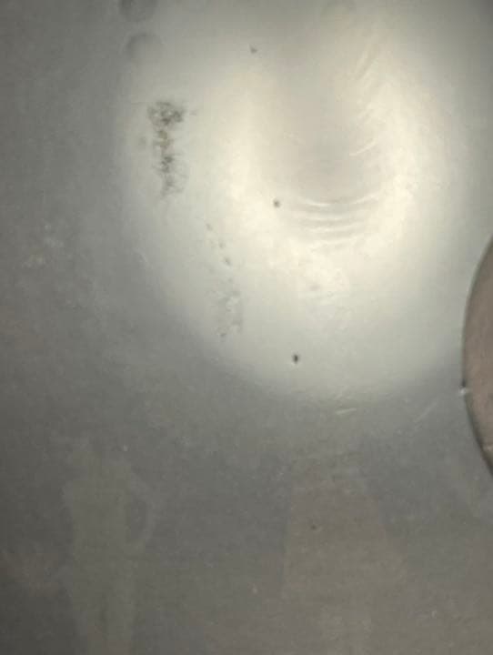 未開封 椎名林檎 - (生) 林檎博'14 初回完全限定生産 blu-ray