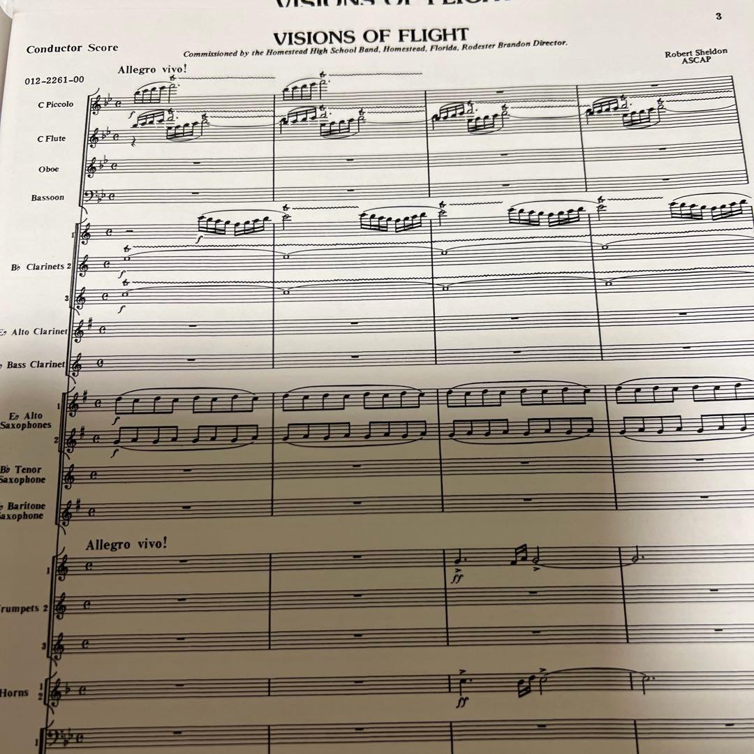 1/18限り値下げ　シェルドン　飛行の幻想