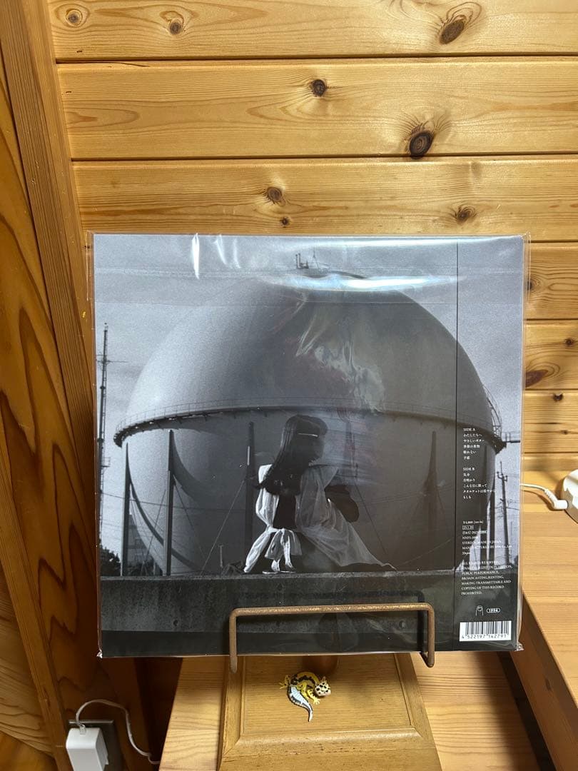 カネコアヤノ　わたしたちへ　レコード