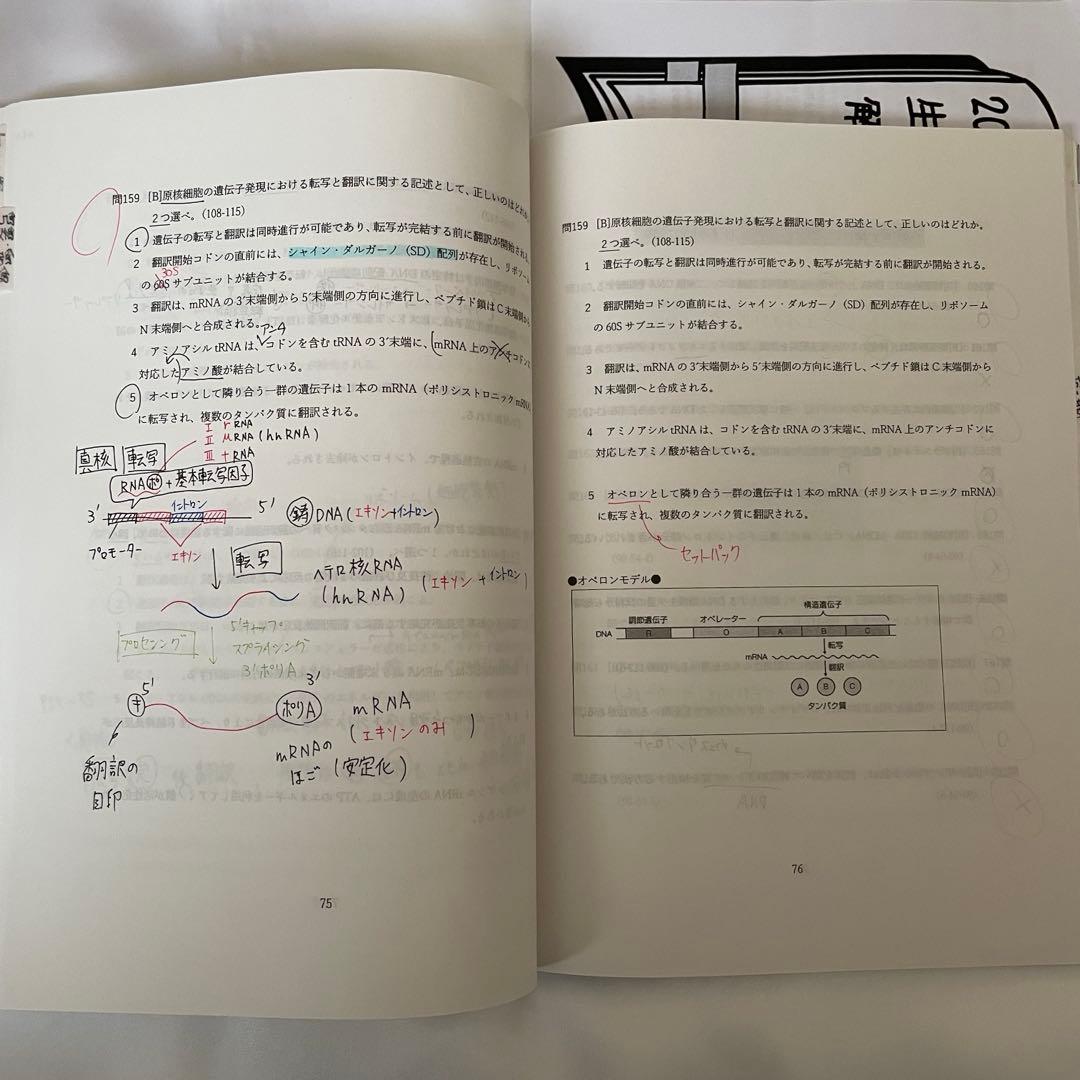 薬ゼミ 110回用 半年コース 白問（問題集）