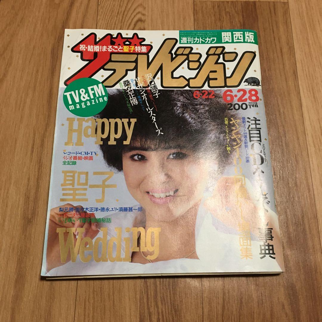 ザテレビジョン 43冊 セット　1985年　1986年