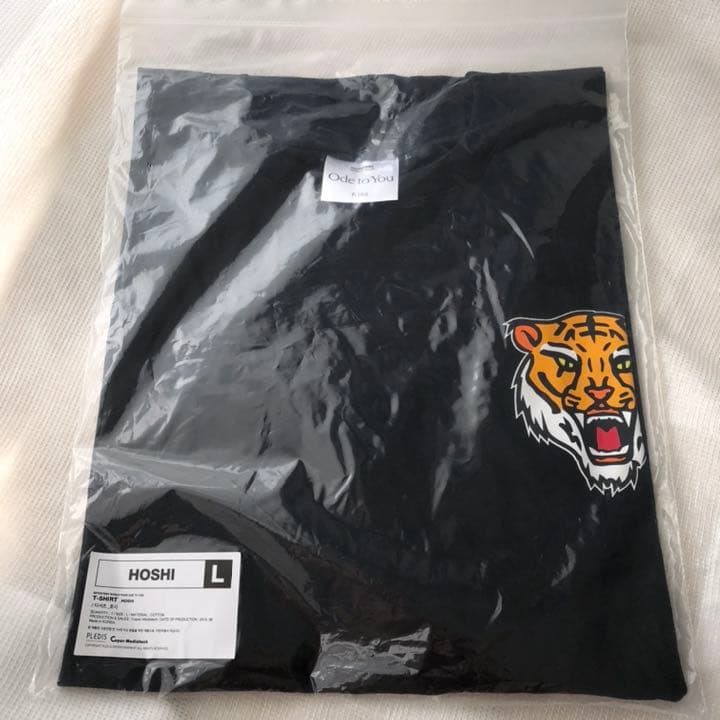 【即購入可】ホシ Tシャツ SEVENTEEN OdetoYou ソウルコン