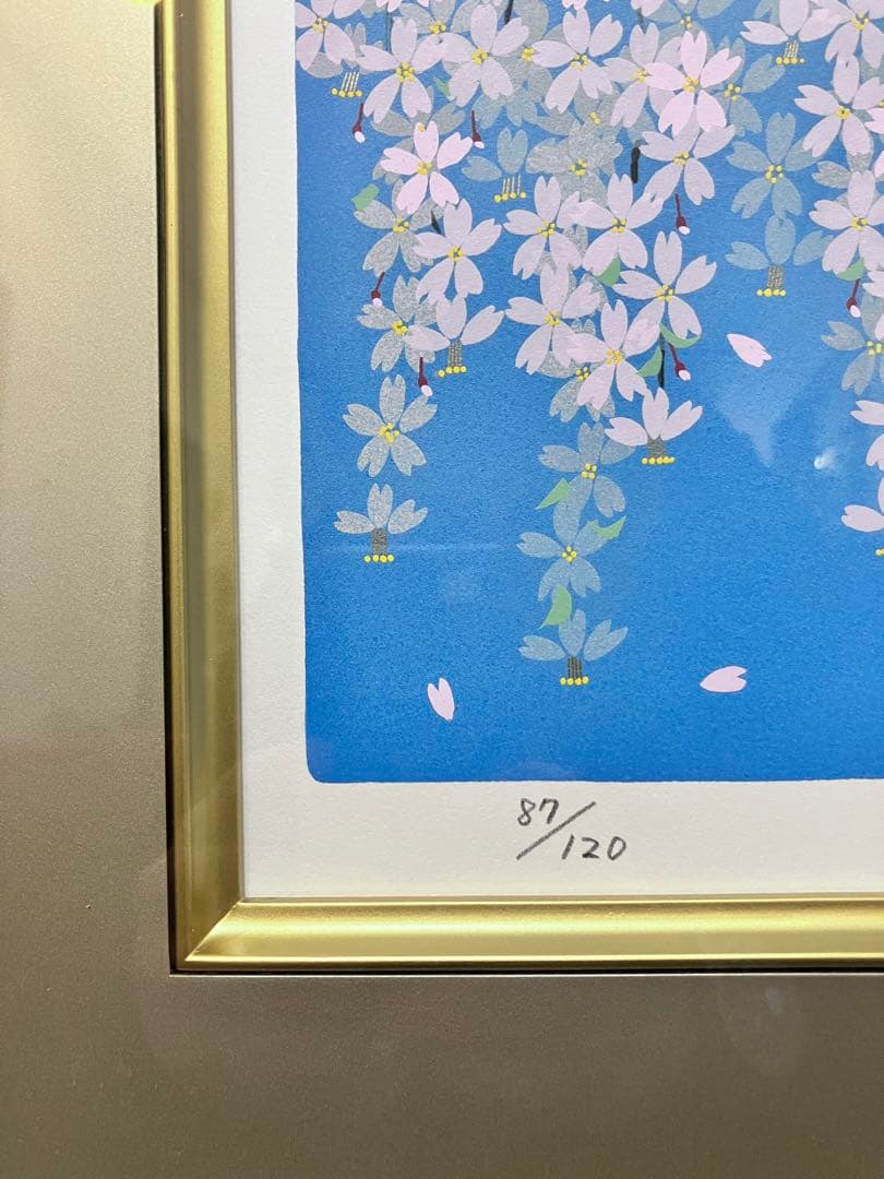 中島千波:シルクスクリーン「桜花清々」限定120部、直筆サイン、専用箱