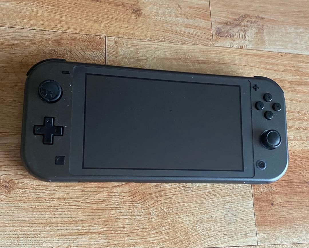 ニンテンドースイッチライト本体 ディアルガ　パルキア
