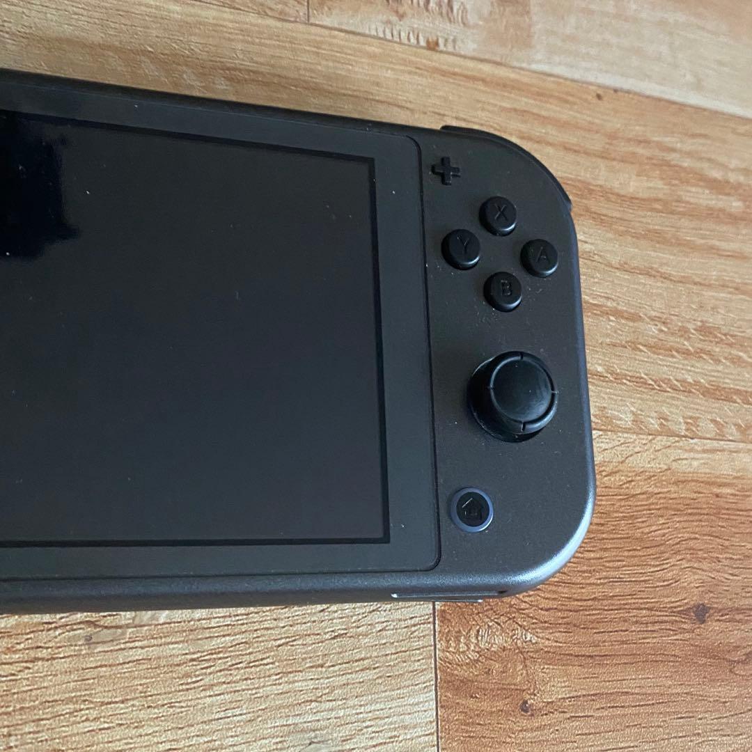 ニンテンドースイッチライト本体 ディアルガ　パルキア