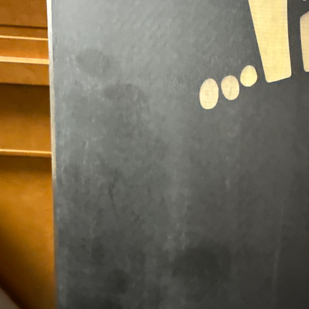 スノーボード Lib Tech MAYHEM ROCKET152.5cm