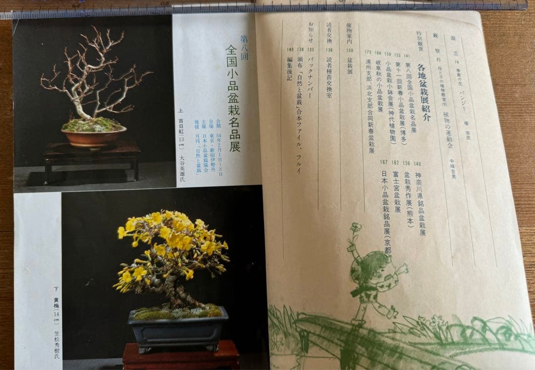 自然と盆栽 バックナンバー