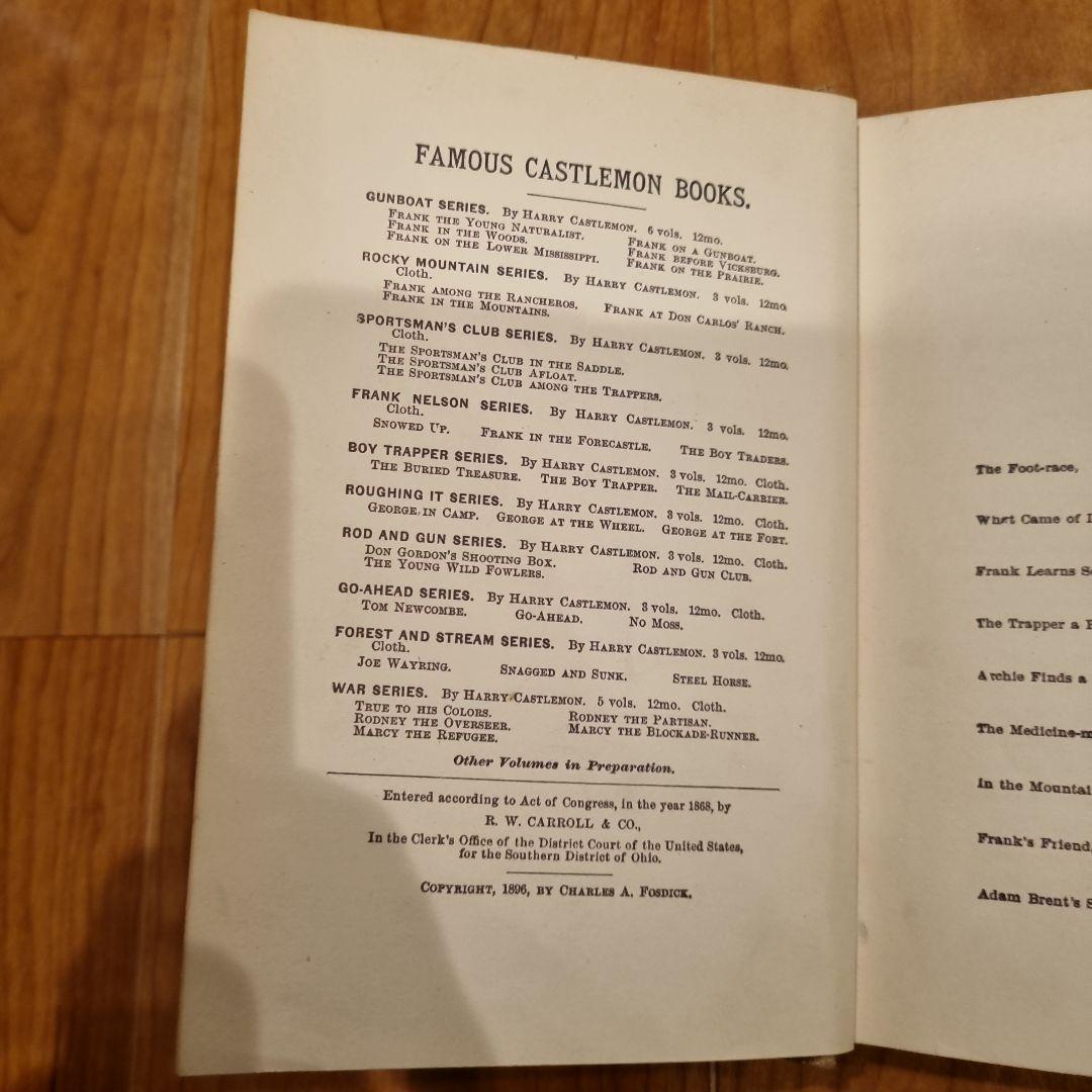 （日本は既にインフレの時代お早めに）1896年出版のアンティーク洋書