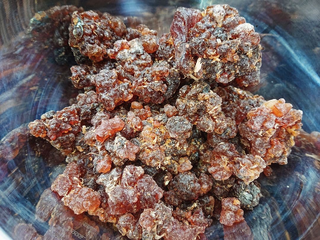 ミルラ 没薬 天然樹脂香 KUA MYRRH コミフォラ・クア・ミルラ・ソコトラ