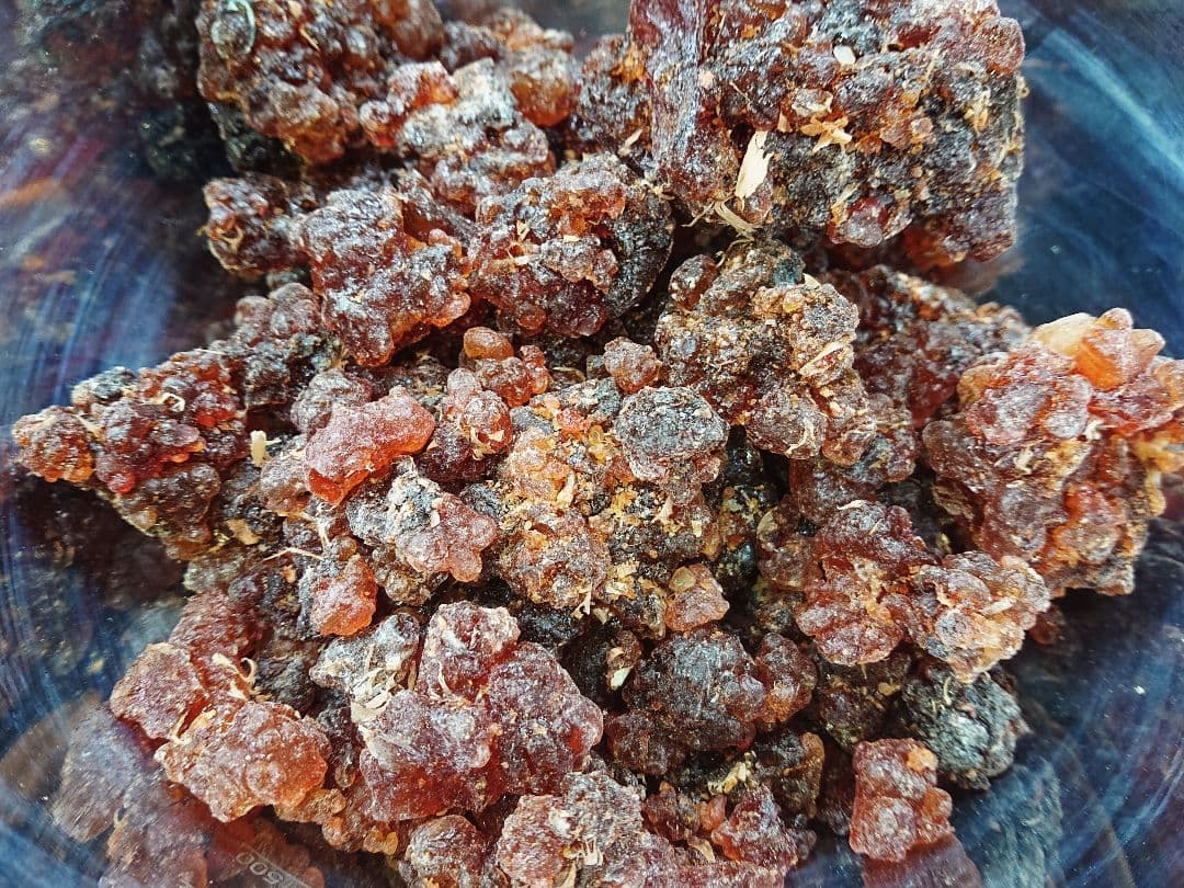 ミルラ 没薬 天然樹脂香 KUA MYRRH コミフォラ・クア・ミルラ・ソコトラ