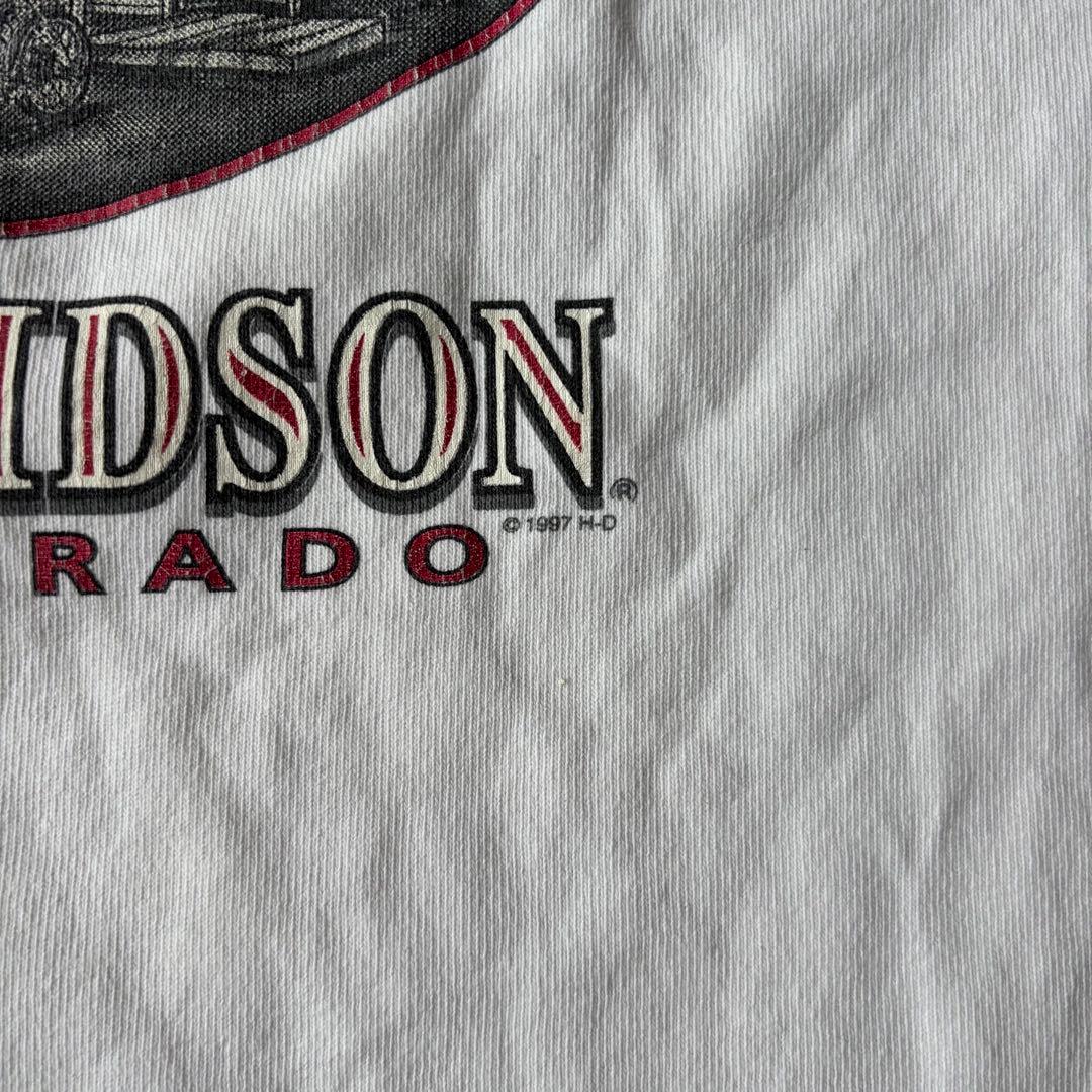 ビンテージ ハーレーダビッドソン ロンT L 袖プリント 古着 長袖 ハーレー