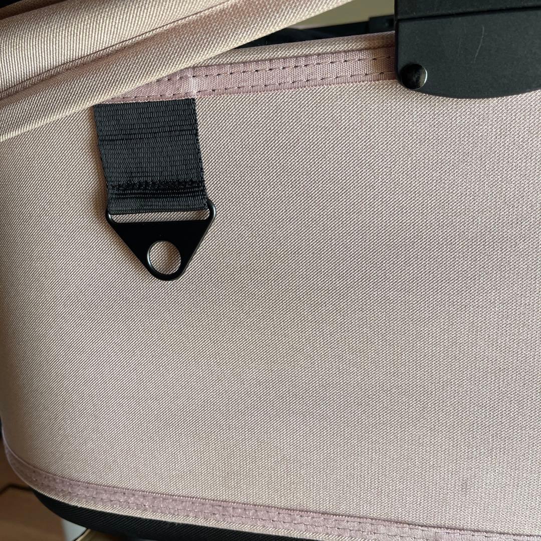 専用ご確認　AIRBUGGY ドーム3ラージ　ブロッサム　セット販売