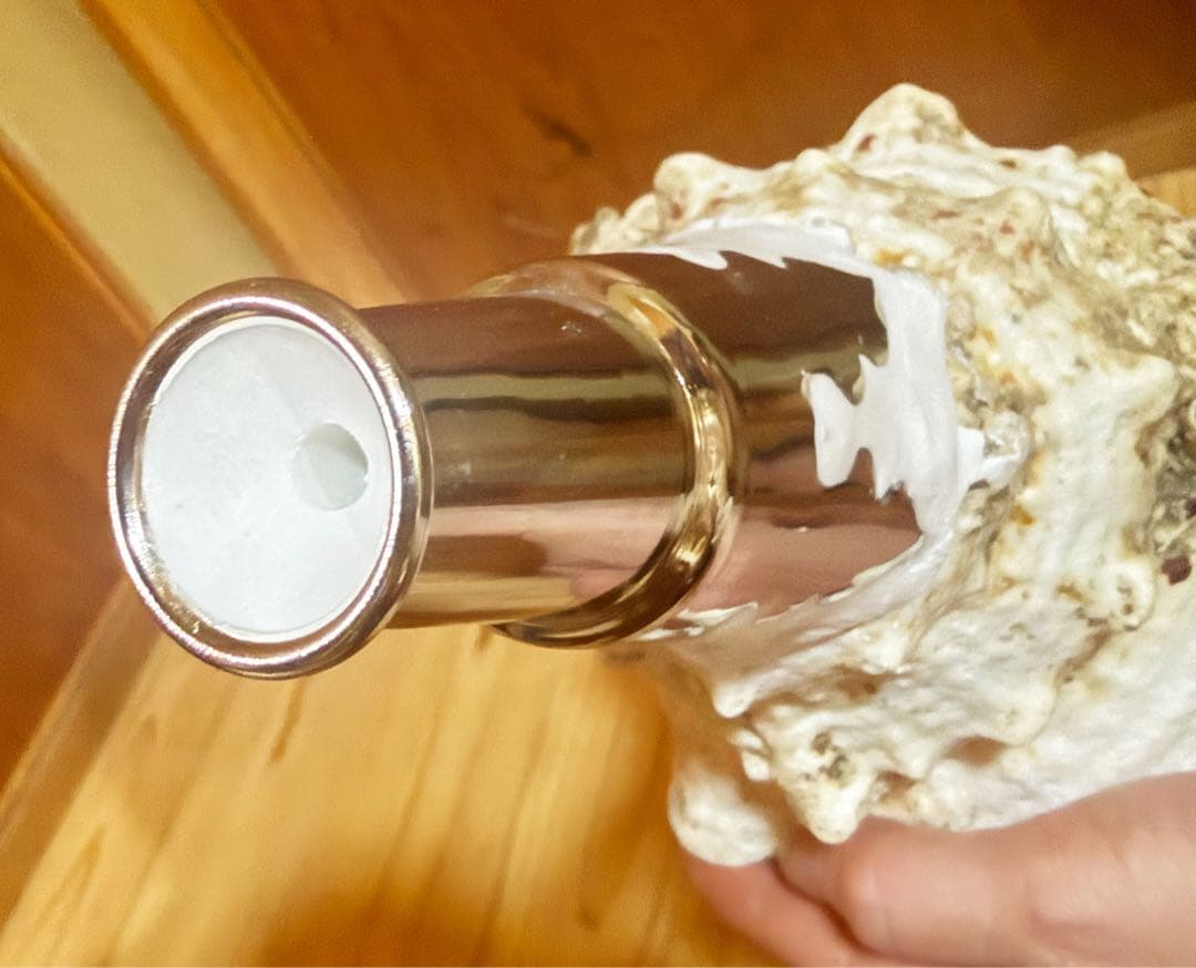 希少　特大　肉厚オオナルト法螺貝　ほら貝　ホラガイ❣️