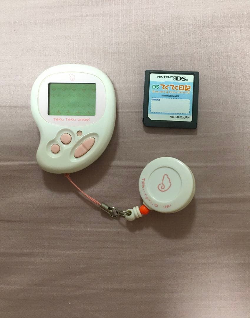 DSてくてく日記　全品セット