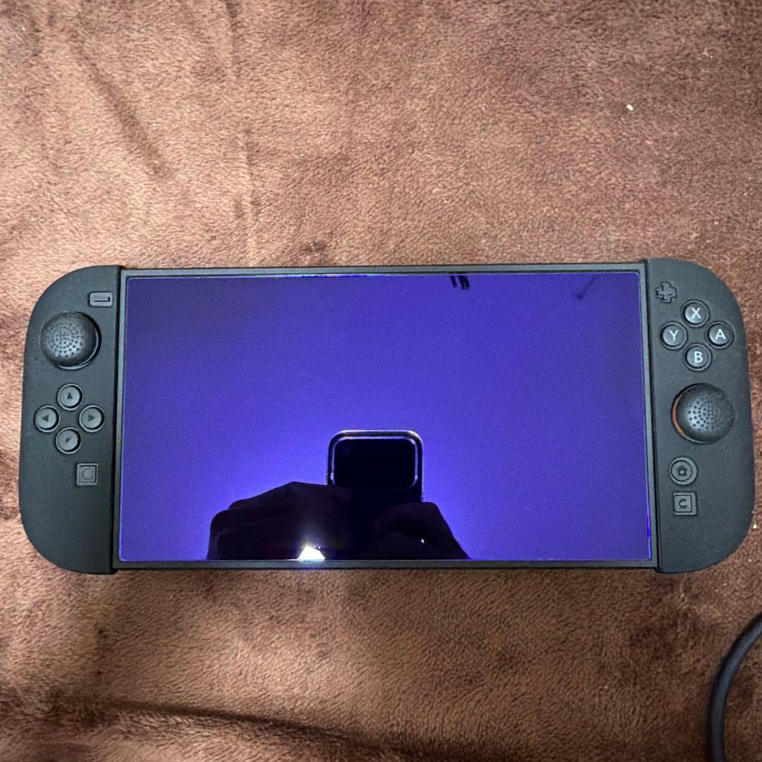 Nintendo Switch D2 本体+ カセット２つ