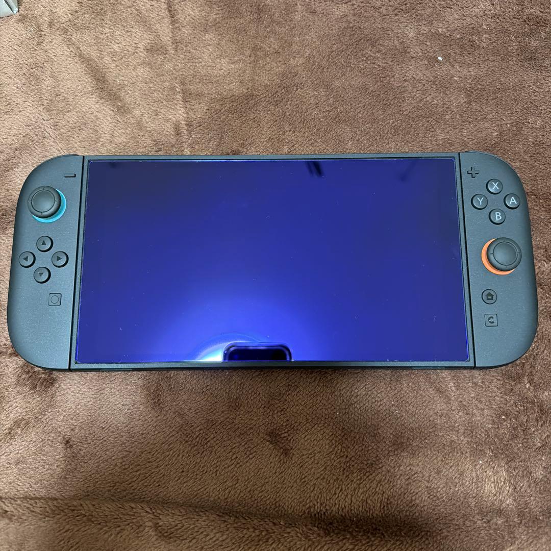 Nintendo Switch D2 本体+ カセット２つ