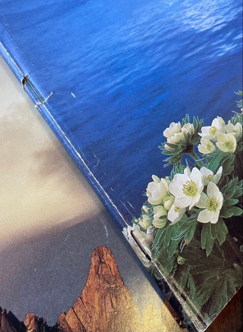 【希少】 パタゴニア カタログ EARLY SPRING 2000