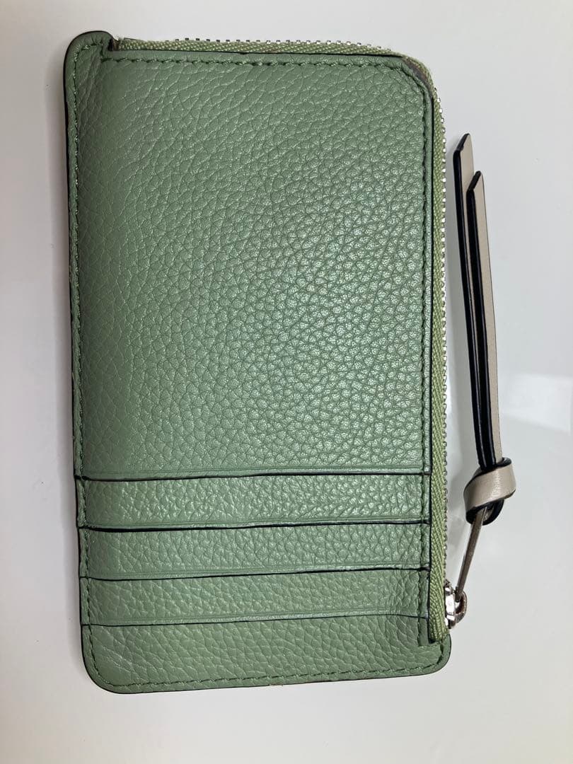 タ*マ様 LOEWE レザー ケース 緑茶色【おまけ付】