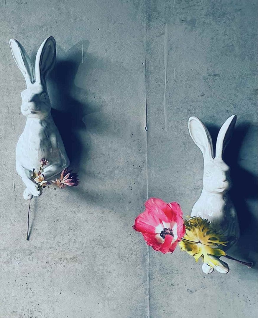 ヤナカーン　壁掛け　５体セット　新品未使用　LAND