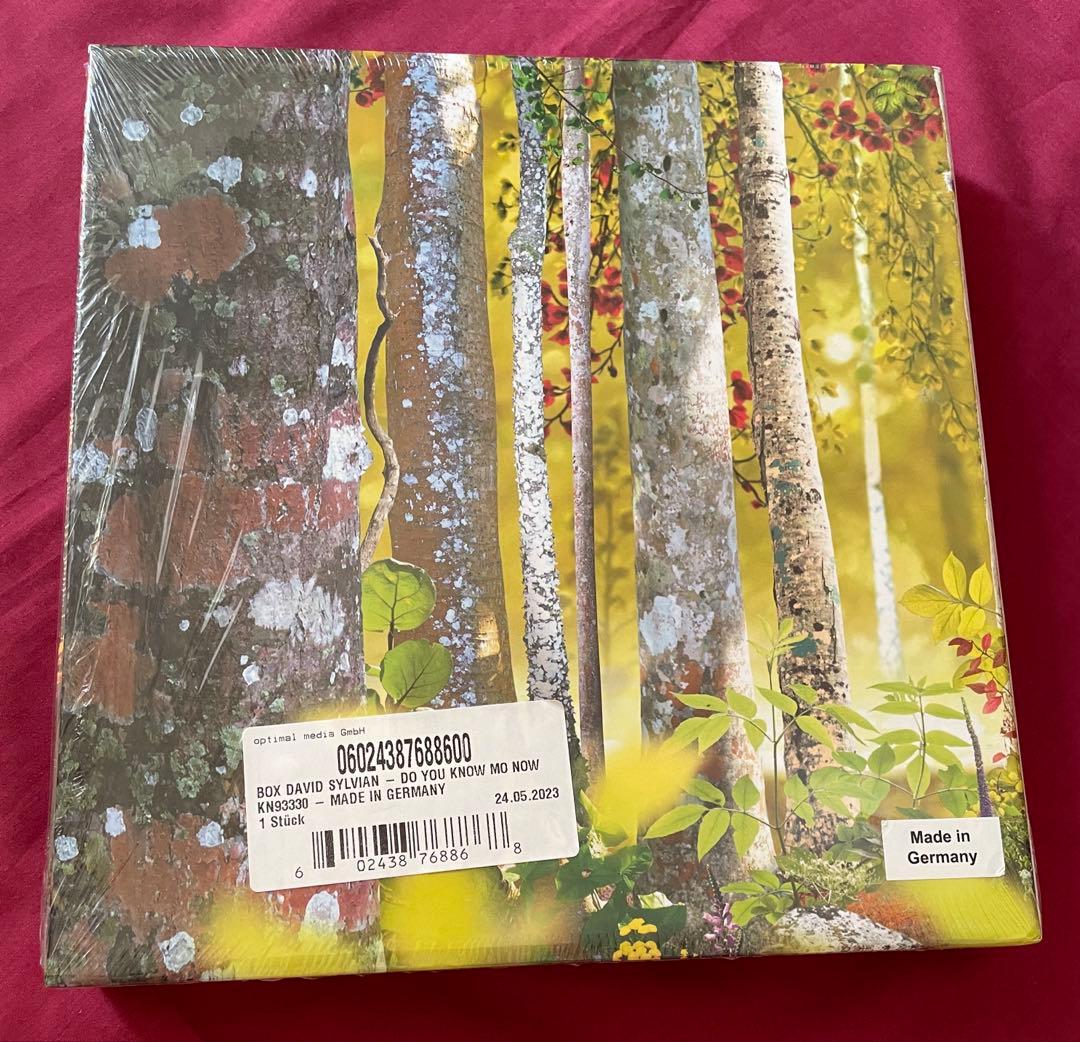 洋楽 Do You Know Me Now? (10CD) David Sylvian