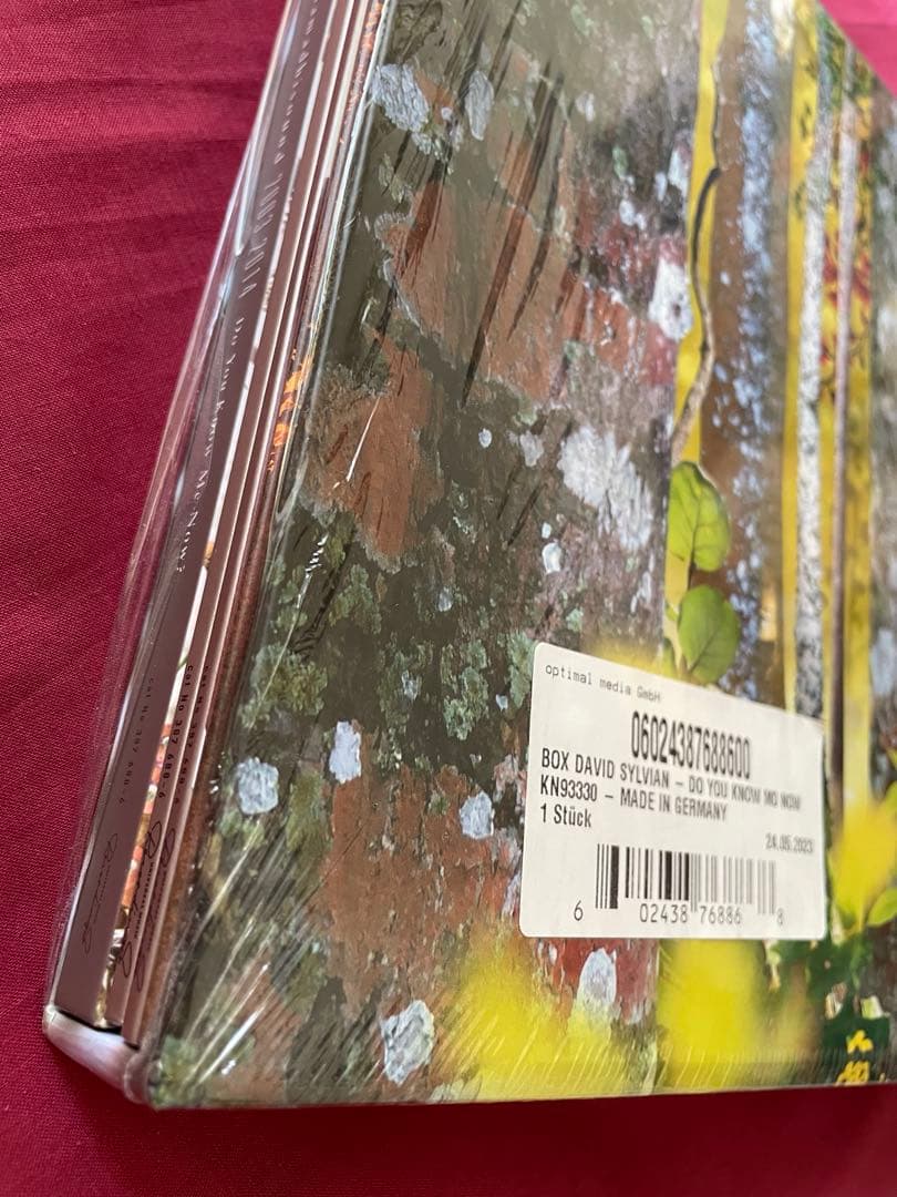 洋楽 Do You Know Me Now? (10CD) David Sylvian