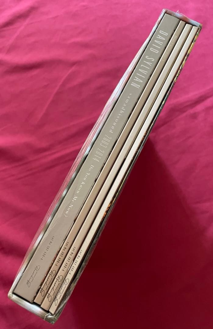 洋楽 Do You Know Me Now? (10CD) David Sylvian