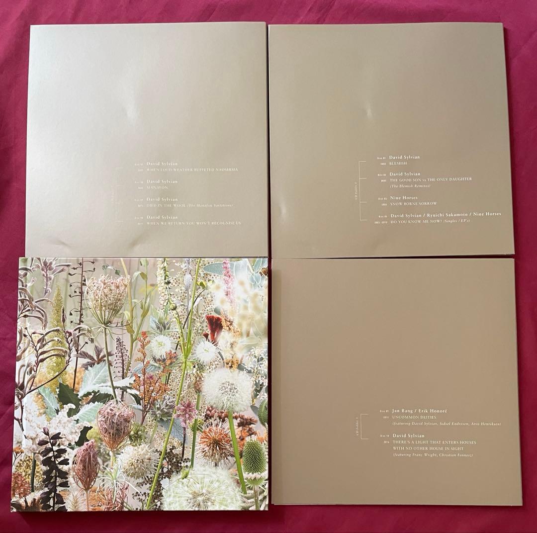 洋楽 Do You Know Me Now? (10CD) David Sylvian